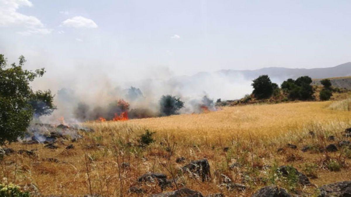 Gaziantep'de zeytinlik ve arpa tarlasnda yangn kt