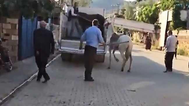 Atına sopayla vuran şahsa ceza