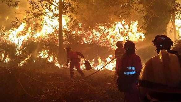 İspanya'da korkunç yangın: 220 hektar orman kül oldu