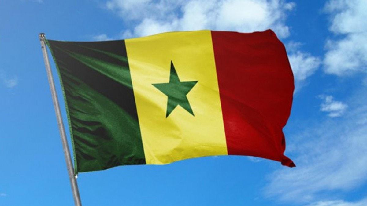 Senegal'de neler oluyor" 10 gnde 61 ocuk kayboldu