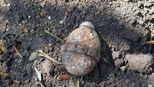 Balıkesir'de evin bahçesinde patlamamış el bombası bulundu