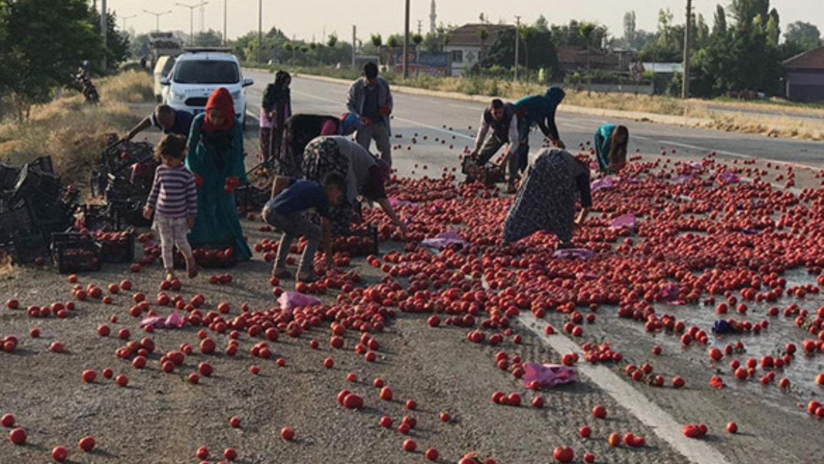Kazada yola salan domatesleri toplayp, evlerine gtrdler