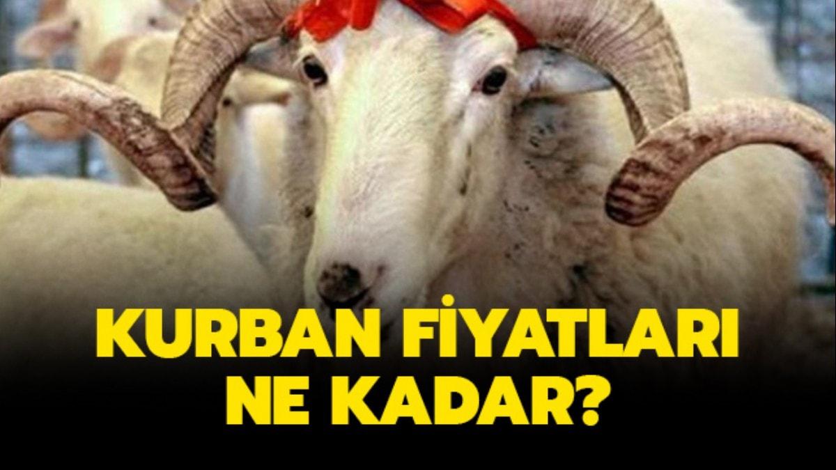 Kurban fiyatlar 2019 ne kadar"  