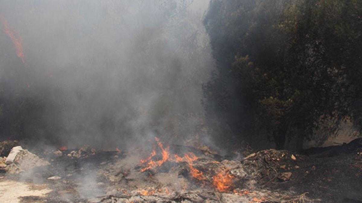 Hatay Antakya'da orman yangn