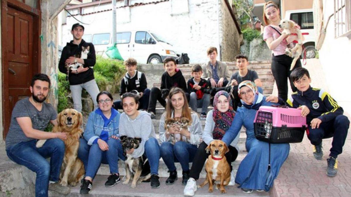 Ordu'da bir grup hayvan sever sokak hayvanlarn tedavi ettirip, sahiplendiriyor