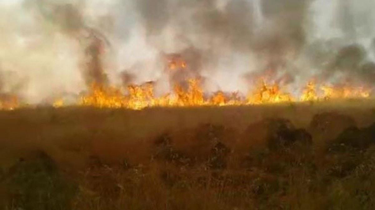 Diyarbakr'da tarladaki yangn korkuttu