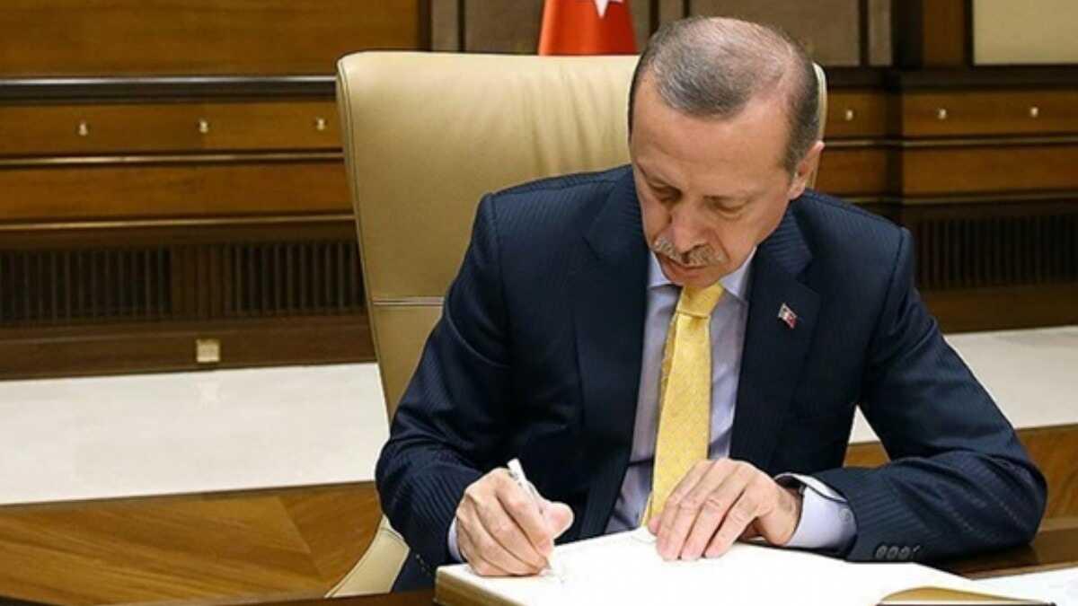 Son dakika... Bakan Erdoan'dan kritik atamalar