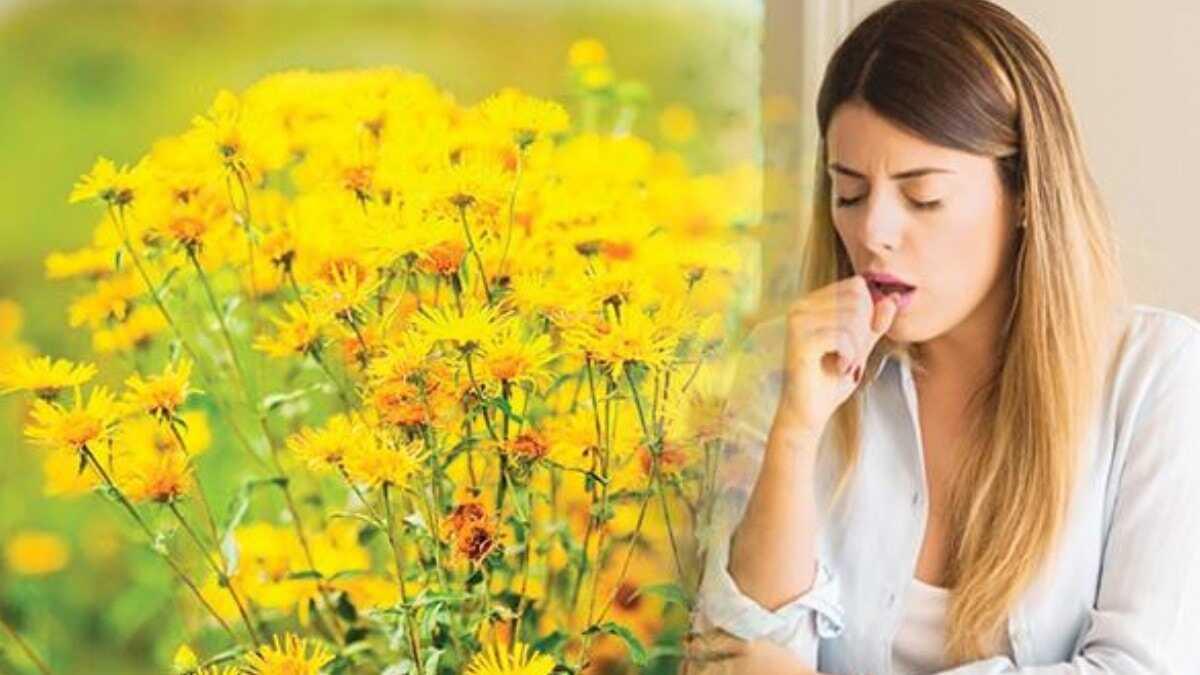 Oksuruk Ve Ses Kisikligi Dogal Yontemlerle Nasil Gecer