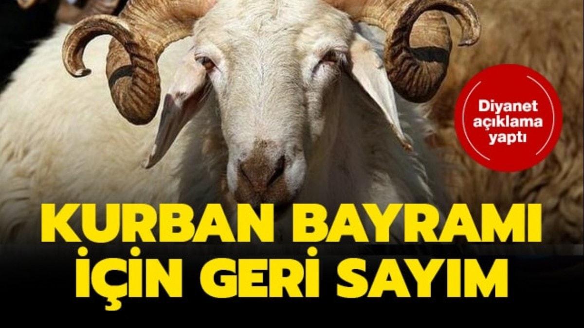 Kurban Bayram iin heyecan artyor!