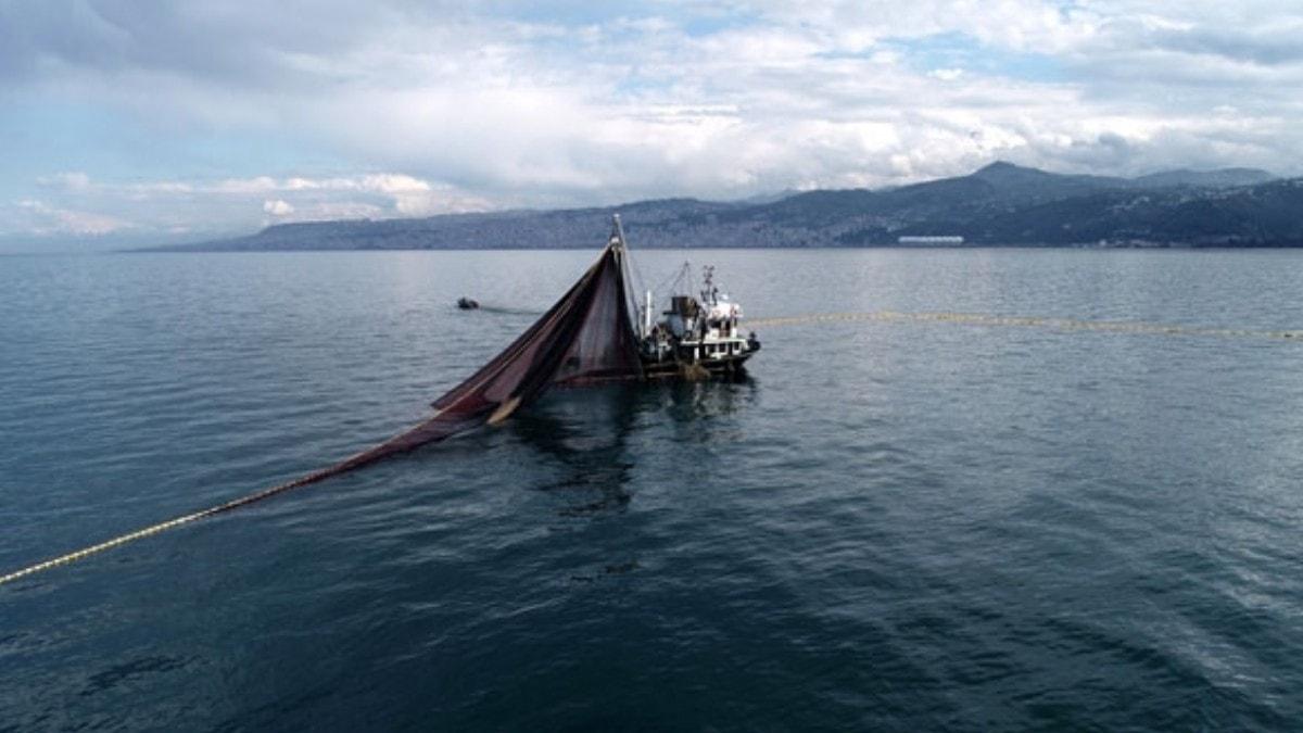 Uzmanlar uyard: Marmara ve Karadenizdeki dip balklar ocuklara yedirmeyin