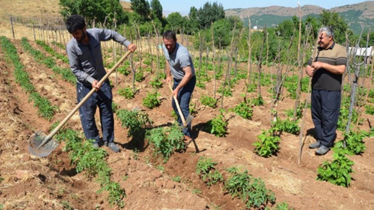 Terrden temizlenen kylerine dnp retime getiler