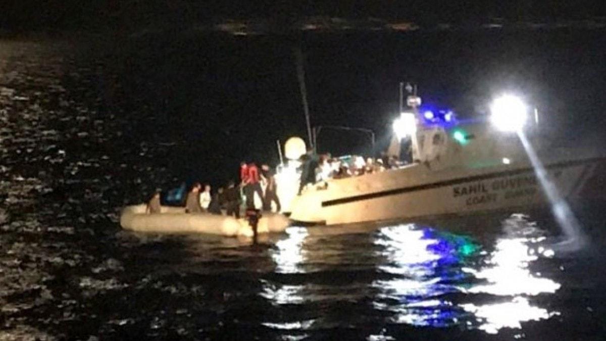 Akdeniz'de 53 kaak gmen yakaland 