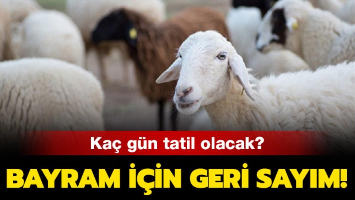 Kurban Bayram tatili iin geri saym