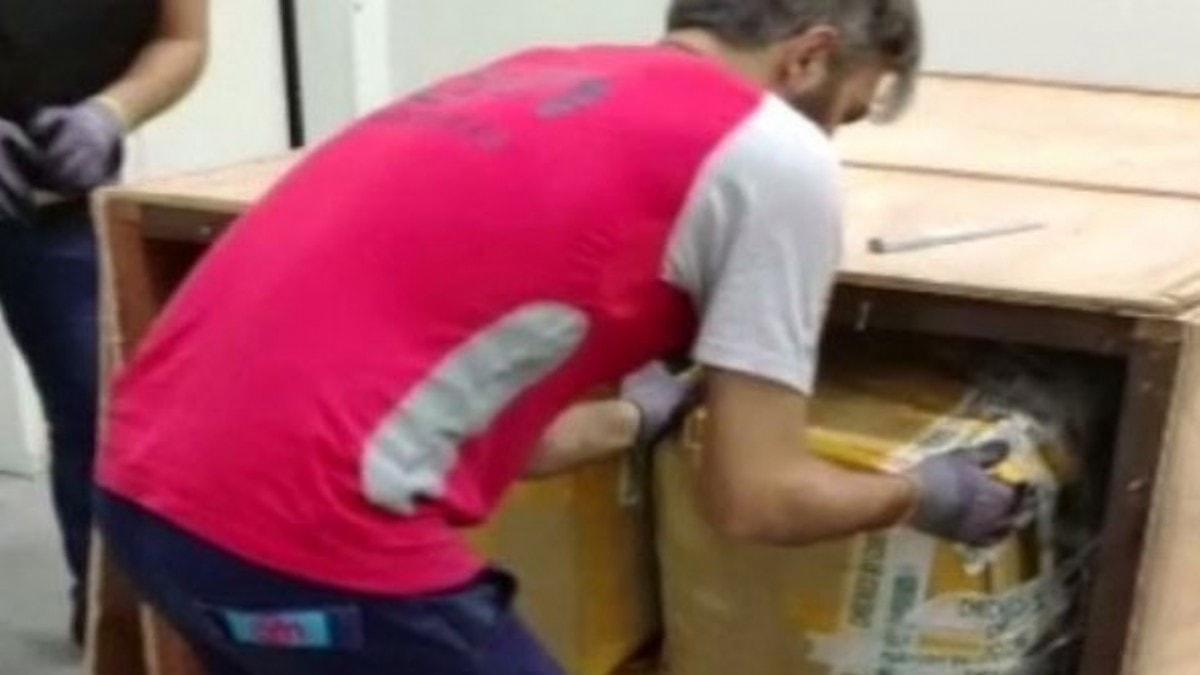 stanbul Havaliman'nda 1 ton 217 kilogram Pangolin pulu ele geirildi