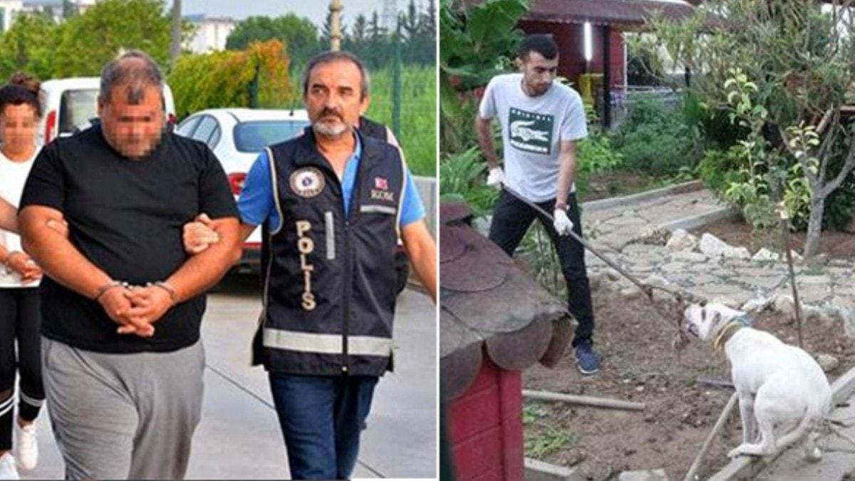 Adana'da pitbullarla korunan atoya veterinerli polis baskn