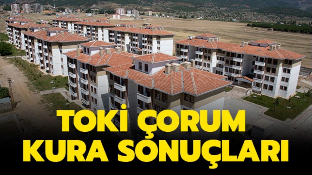 orum TOK kura sonular 2019 akland m" TOK orum kura sonucu sorgulama ekran..