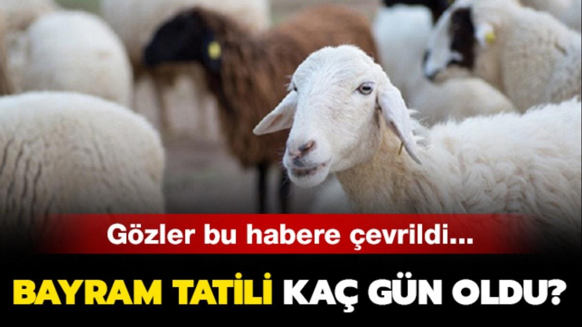 Bakan Albayrak'tan Kurban Bayram tatili aklamas