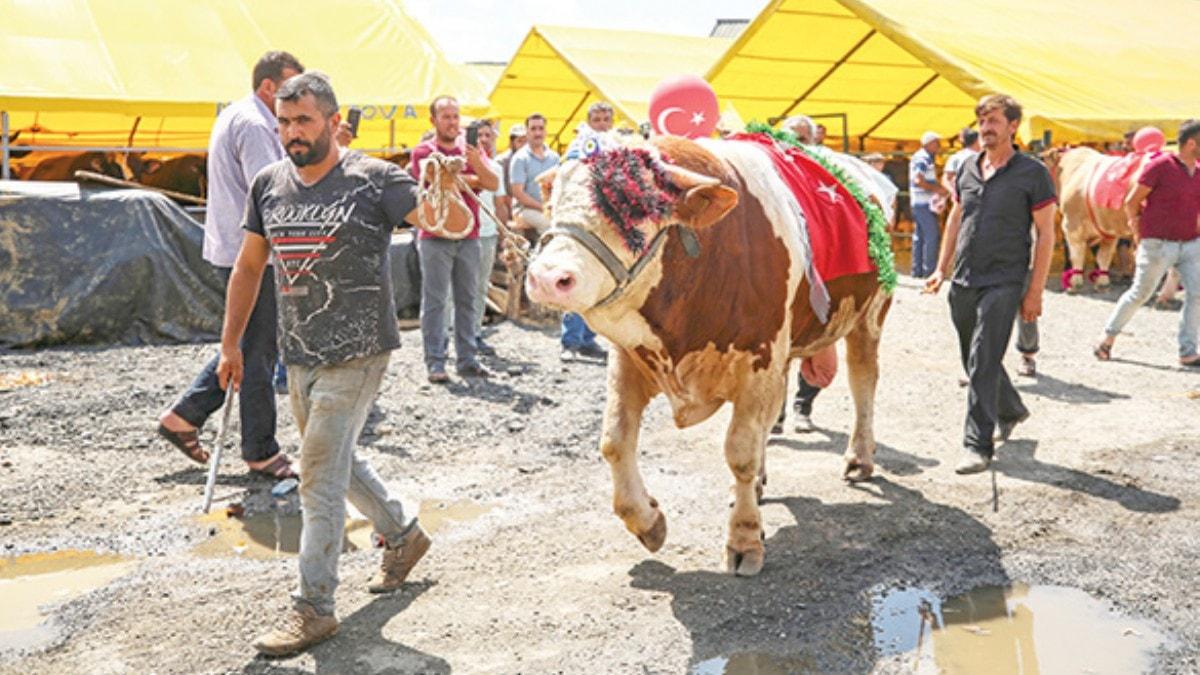 Uyarlara bakmadan kurban kesmeyin