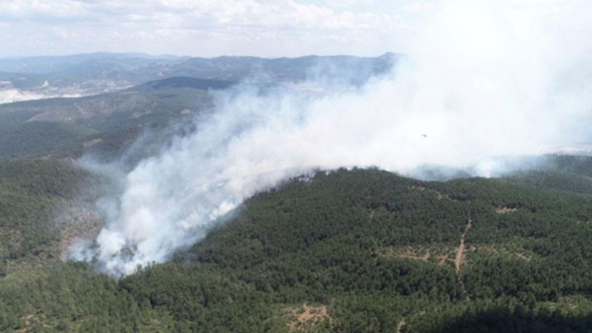 Bursa'da korkutan orman yangn! Sabotaj phesi