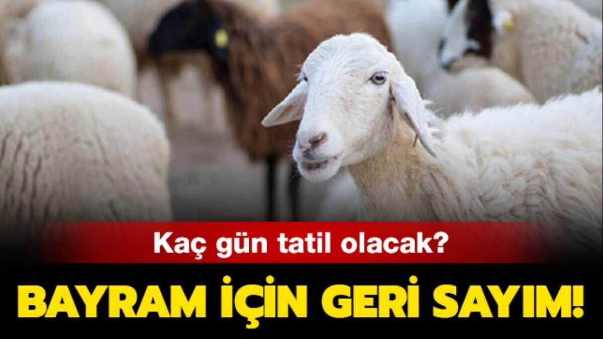  2019 yl Kurban Bayram tatili uzatld m" Kurban Bayram tatili ne zaman, ka gn"