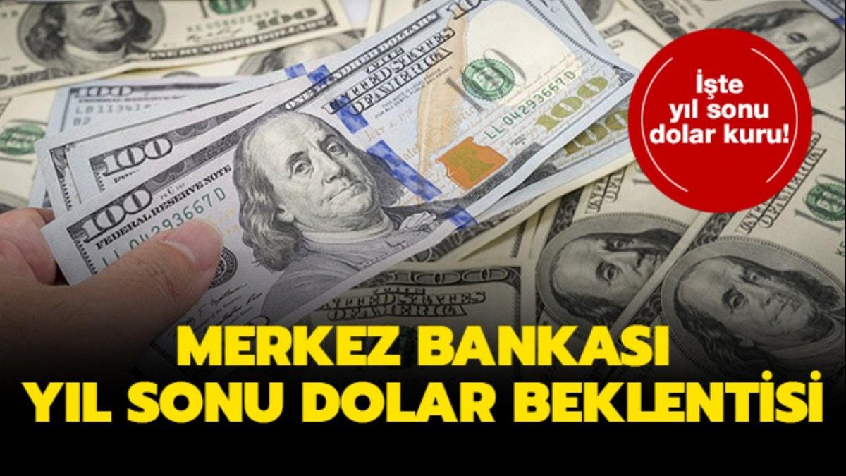 Merkez Bankas dviz beklentisi nedir" Merkez bankas yl sonu dolar tahmini ka" 