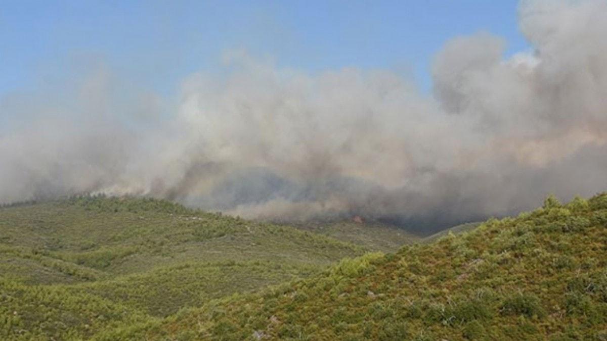 Mula'daki orman yangnlar ksmen kontrol altna alnd