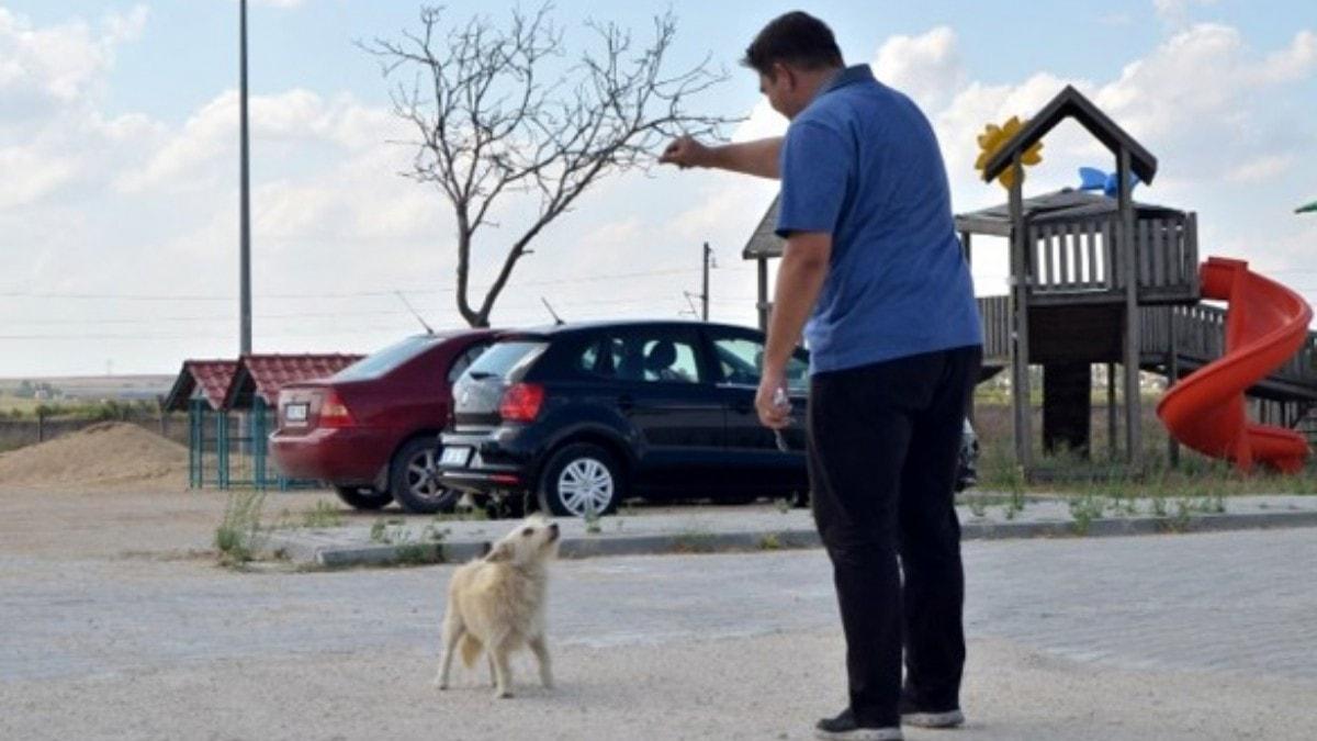 Sadakatin bylesi: Sahibinden kap tedavi olduu barnaa geldi  