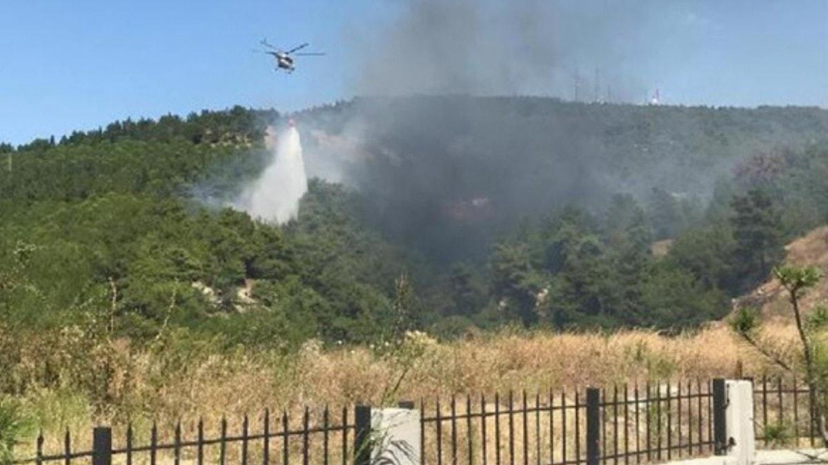 anakkale'de orman yangn