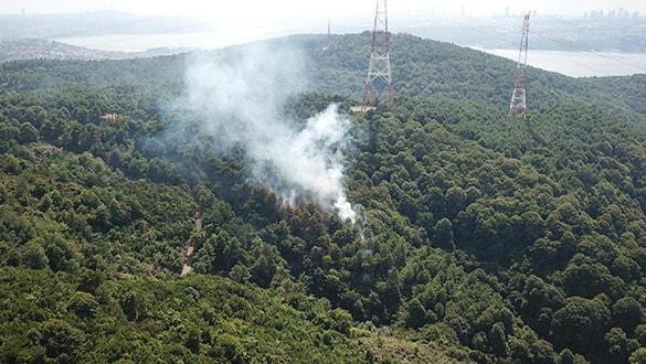 Son dakika... Anadolu Kavağı'nda orman yangını