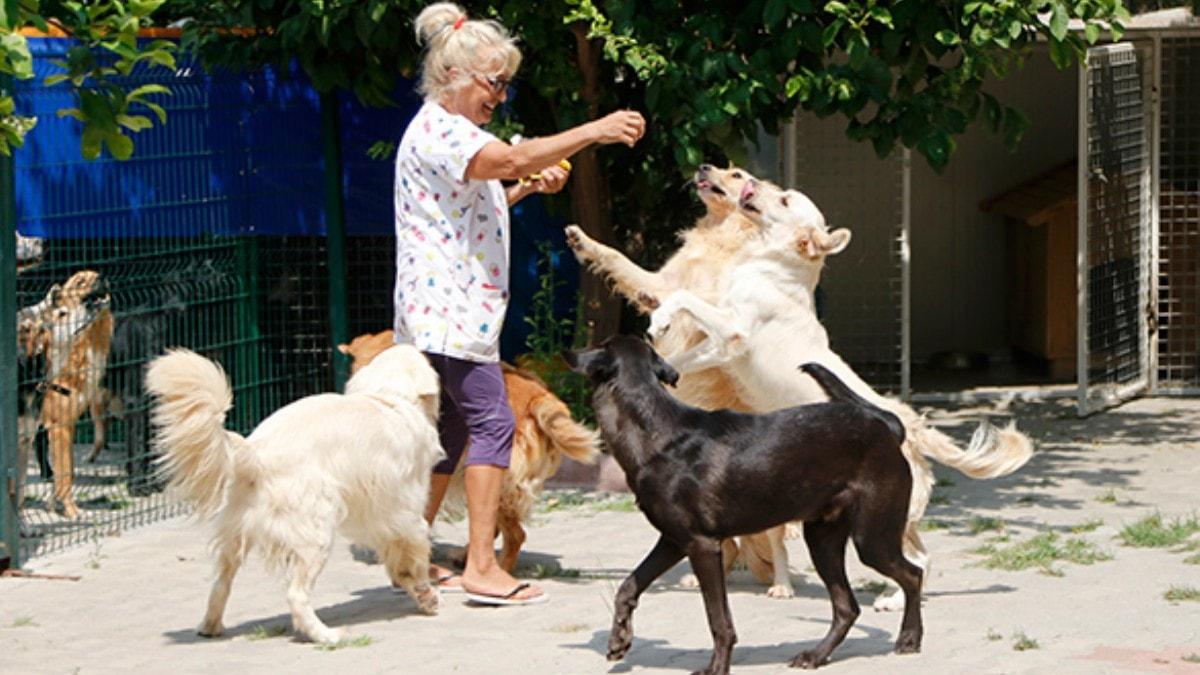 Yalsn satp havuzlu villa satn ald... Mirasn onlara brakacak