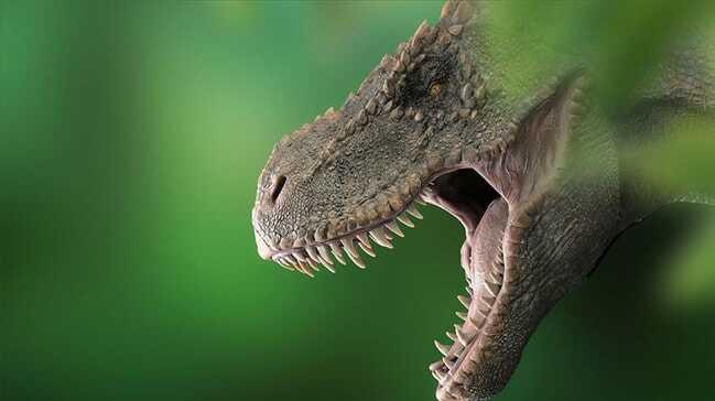 Dinazor fosilleri ve T-Rex'lerle ilgili yeni keşif! Klima işlevi gördükleri ortaya çıktı