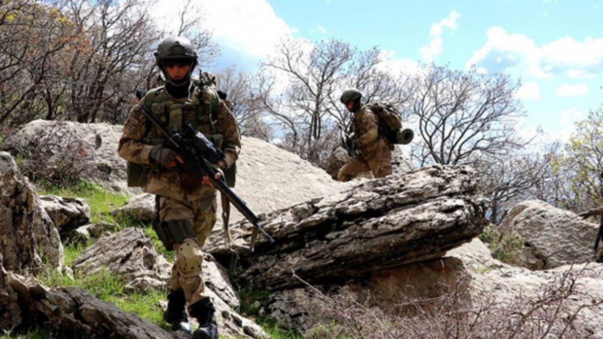 Bitlis'te 2 terrist etkisiz hale getirildi
