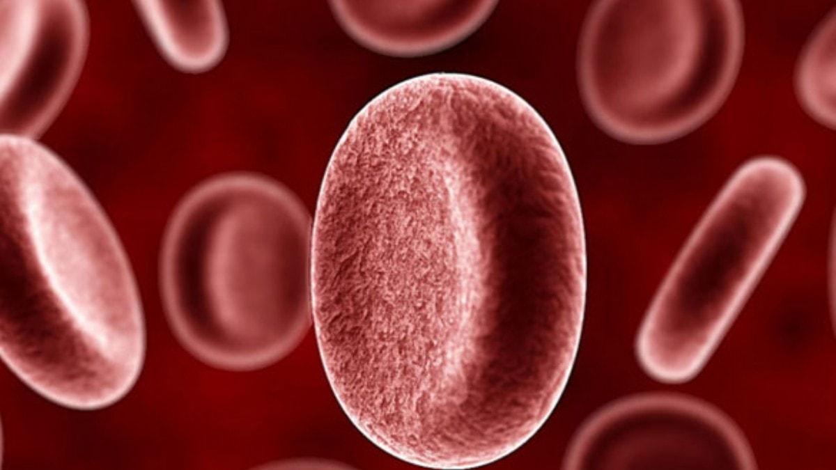 Rus bilim insanlarndan tpta atlm: Kan hcrelerini uzaktan ynetme yntemi gelitirildi