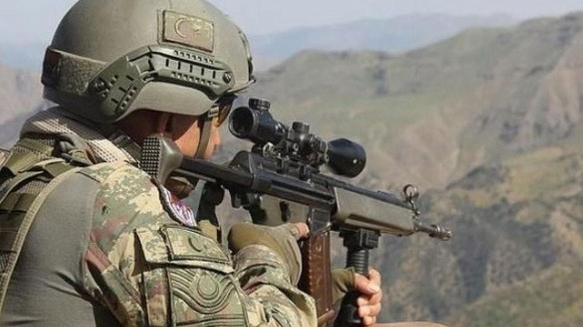 Bitlis'te 2 terrist etkisiz hale getirildi 