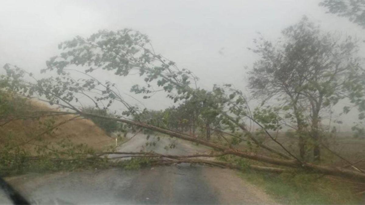 Trakya'da beklenen ya balad, atdaki kiremitler utu, aalar devrildi