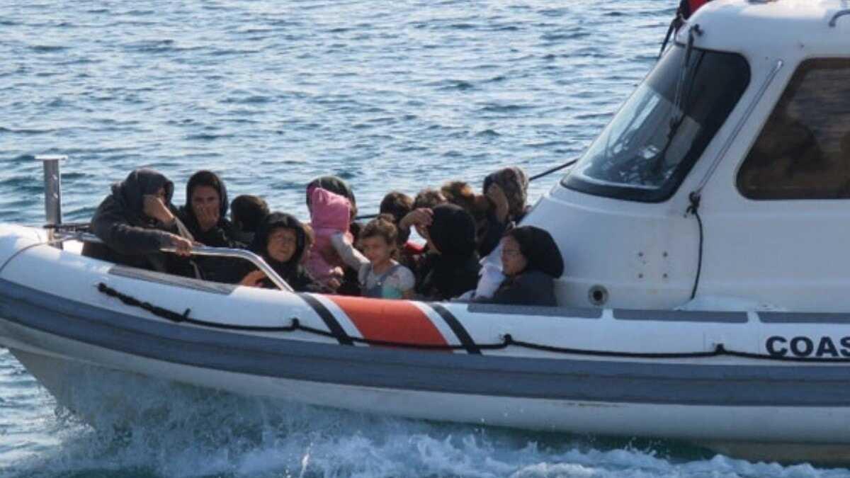 anakkale'de bin 134  kaak gmen yakaland