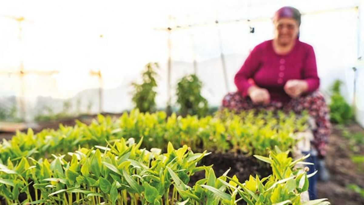 Bu yl 77 bin kadn iftiye giriimcilik eitimi verildi