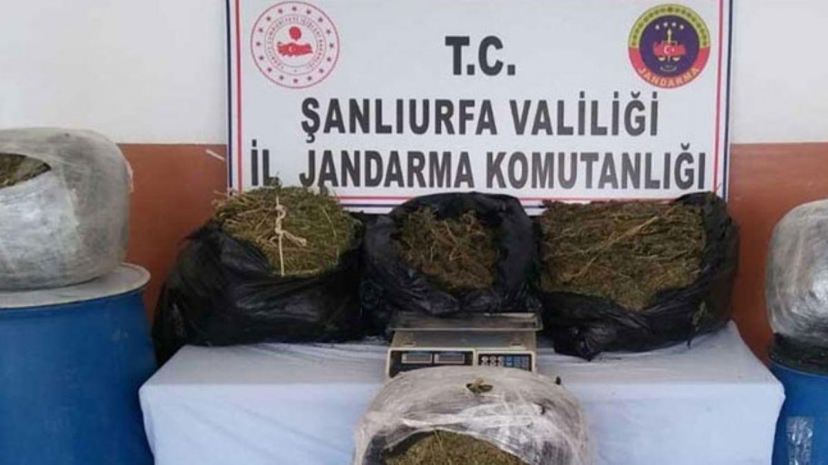 anlurfa'da 105 kilo 500 gram esrar ele geirildi