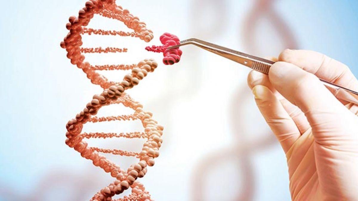  Genetik hastalklar tarih olabilir!DNA zincirini onaran molekl