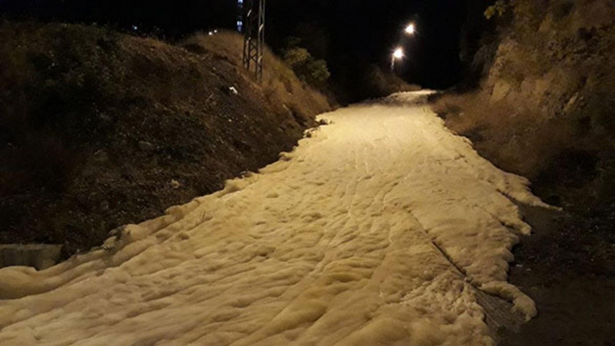 Hatay'da panik yaratan grnt!