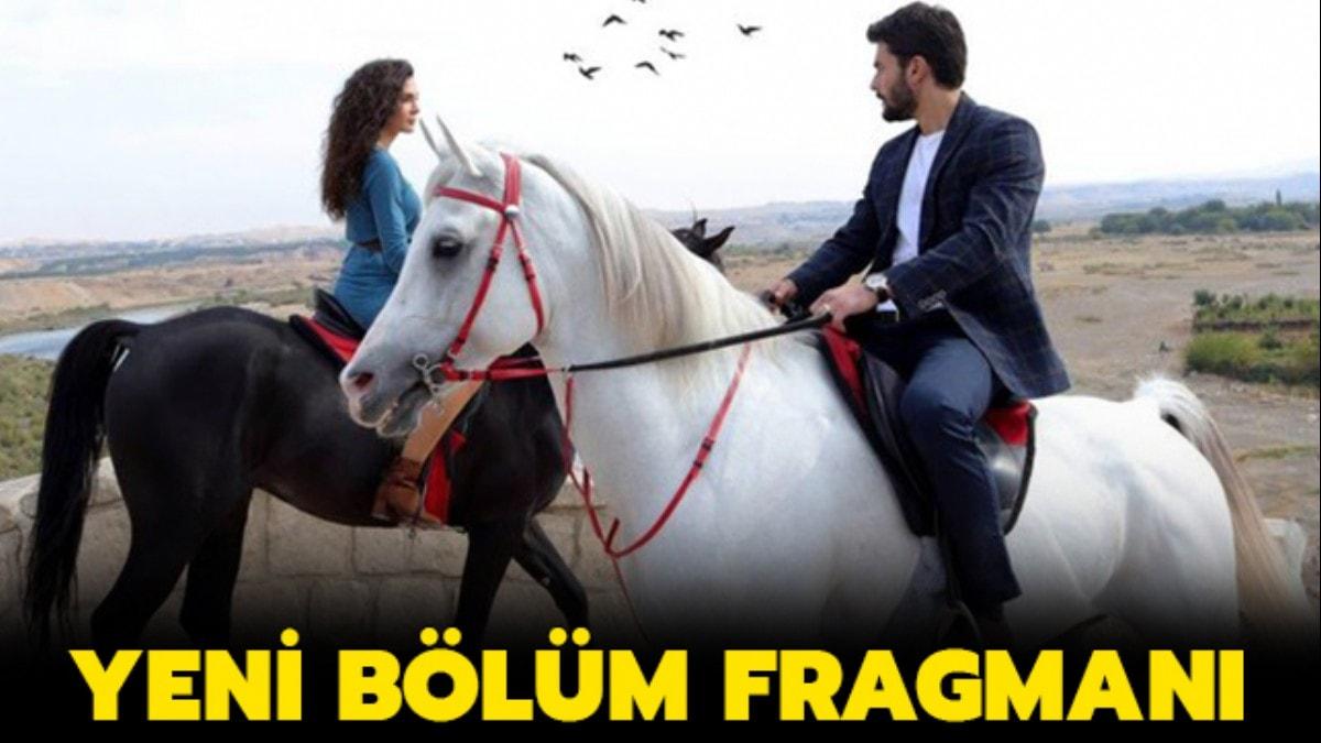 Hercai 19. blmde yaananlar