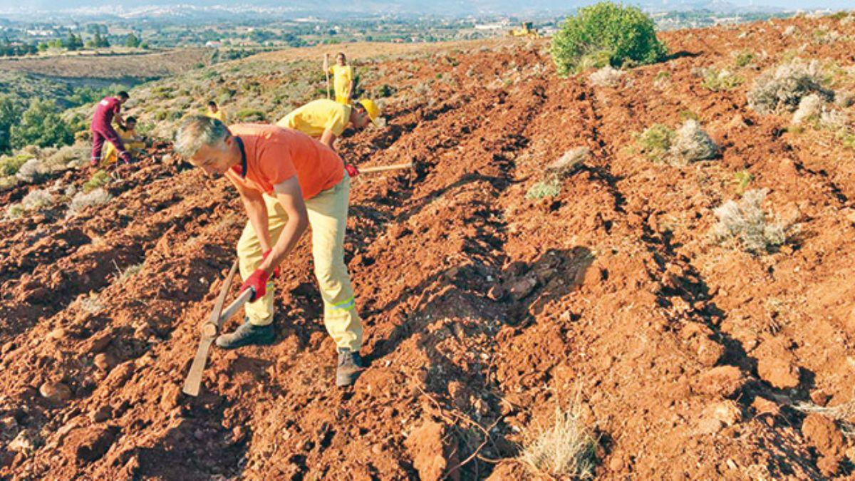 'Gelecee Nefes Kampanyas'nda rekor krlacak: 11 milyon fidan ayngn toprakla buluacak