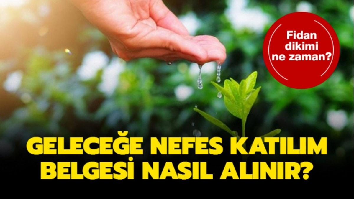 Gelecee Nefes Kampanyas fidan dikimi ne zaman" 