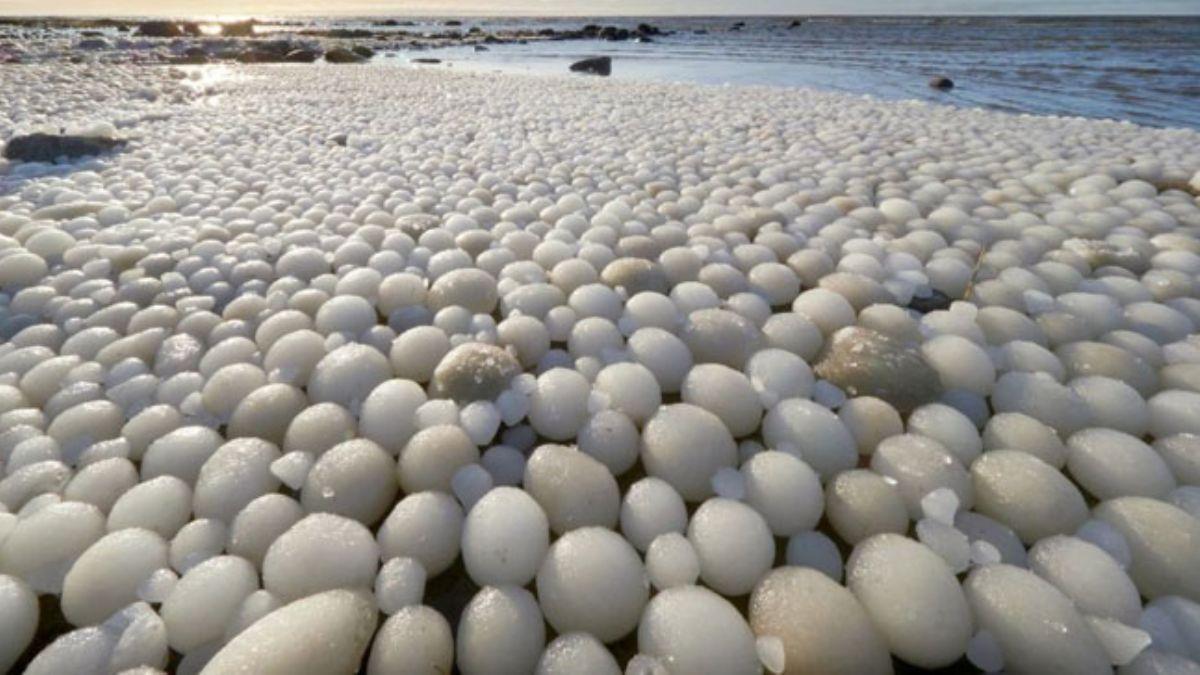 Finlandiya'da bir plaj binlerce 'buzdan yumurtayla' kapland