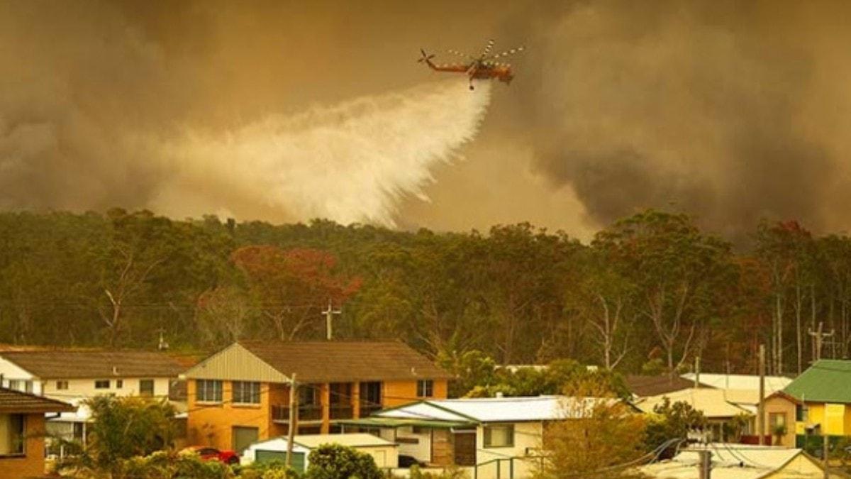 Avustralya'da orman felaketi! En az 100 ev yok oldu