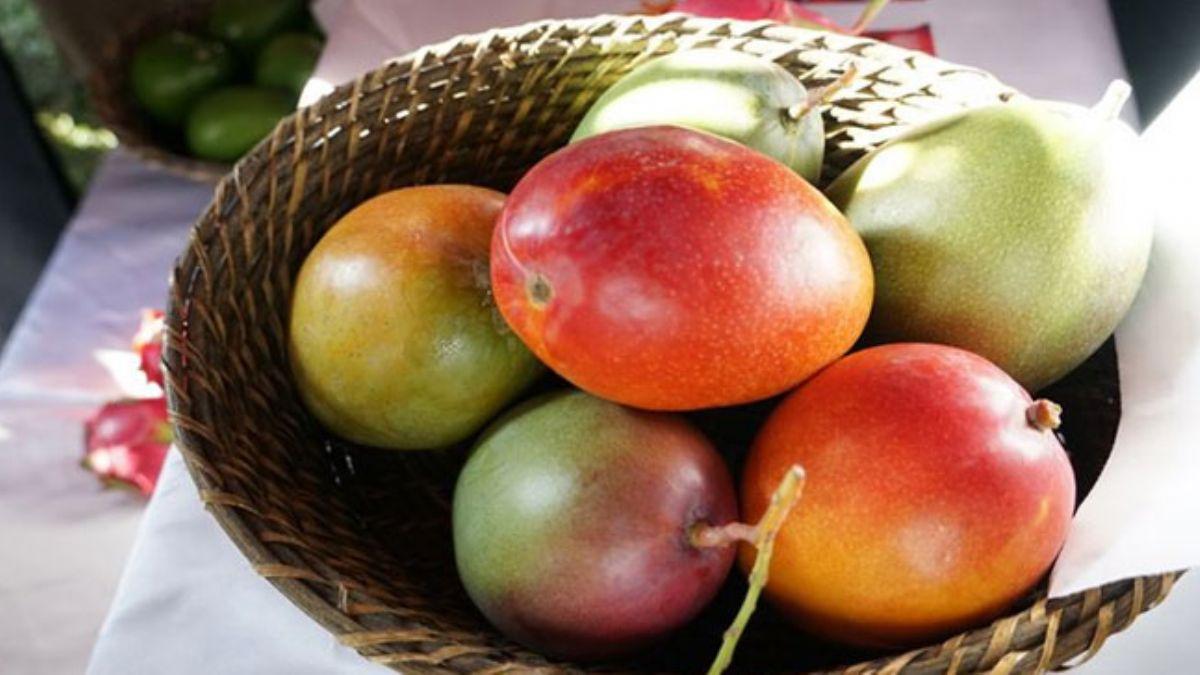 Tanesi 50 liraya satlan mango reticinin yeni gzdesi