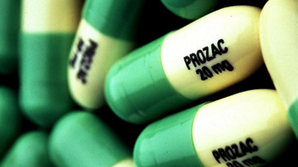 Antidepresan aratrmas: Balklar 'neredeyse' avlanmay bile unuttu