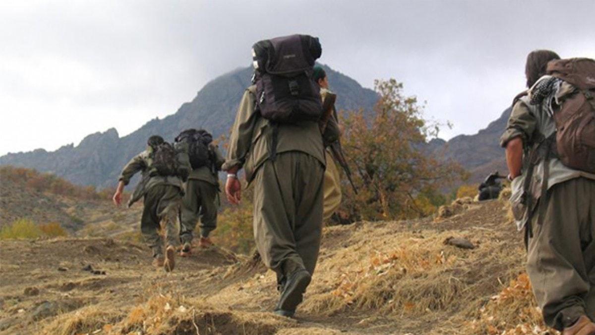 Almanya'dan PKK-YPG aklamas: En az 270 terrist...