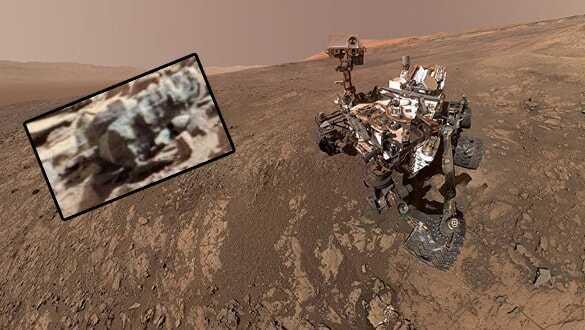Mars'ta böcek izleri