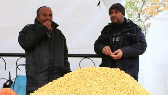 Kış aylarının bilinmeyen çerezi 'Termiye' tezgahlarda yerini aldı